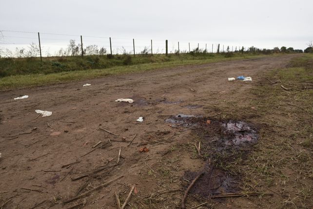 Los rastros elocuentes en el lugar donde ejecutaron a Vizconti. Guantes de látex y un gran manchón de sangre en la tierra