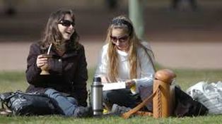 Tomar mate baja el riesgo de sufrir diabetes