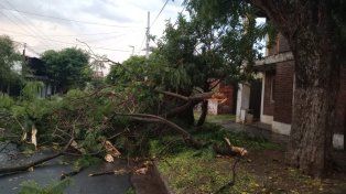 El municipio hizo evacuaciones preventivas y remoción de árboles caídos. Se reparten módulos alimentarios, colchones, nylon por el temporal