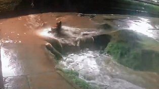 Concepción del Uruguay: dos motociclistas fueron arrastrados en medio del temporal