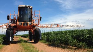 Los análisis detectaron la presencia de 18 contaminantes agrarios. Algunos actualmente están prohibidos.