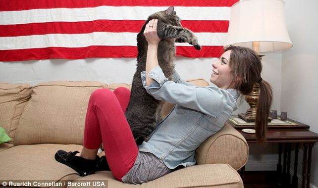 Conocé al gatosaurio