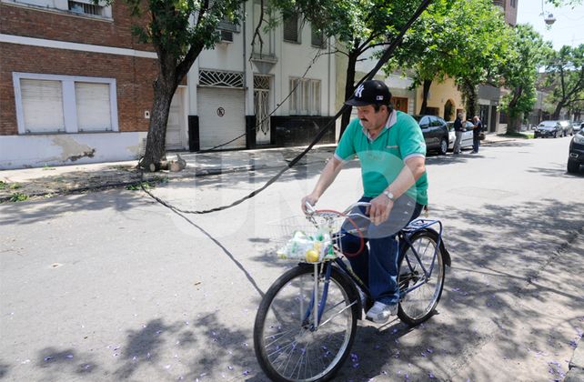 La caída de una rama sobre un cable de alta tensión, dejó a vecinos sin luz