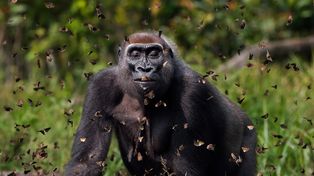 Imágenes ganadores del concurso de fotografía 2021 Nature Conservancy