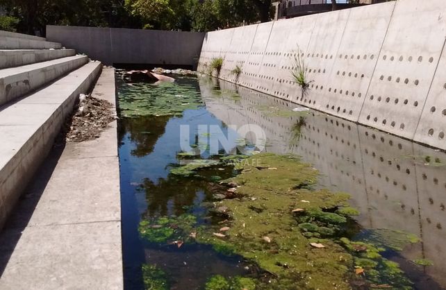 Vecinos de barrio Roma alertan por el desagüe de Avenida Freyre