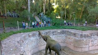 El zoológico de Mendoza remata el 75 por ciento de sus animales