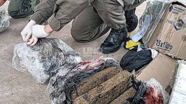 Gendarmería secuestró más de 16 kilos y medio de marihuana en la Ruta 168