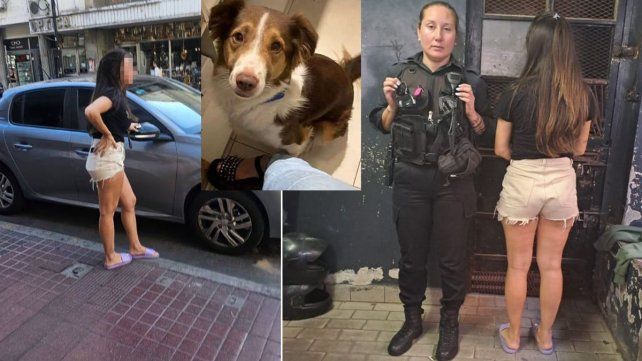 Rosario: detuvieron a la dueña del perro muerto en el auto