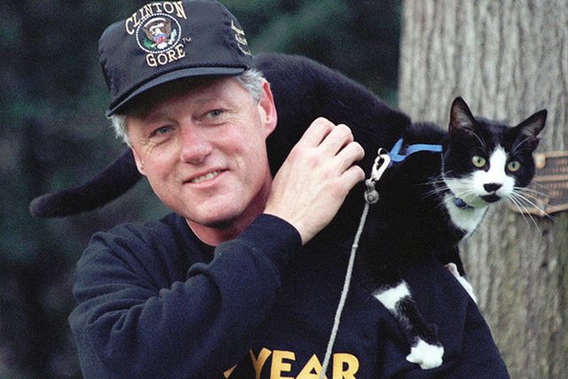 Este es el felino que inspiró el Día Internacional del Gato