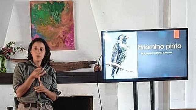 Guardaparques. En conjunto con el área de conservación brindaron una charla informativa sobre el Estornino Pinto.