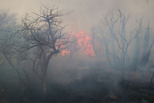 Tras 24 horas de trabajo, lograron controlar un enorme incendio en Villaguay