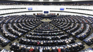 Nuevo Parlamento, viejos desafíos: ¿Qué pasará con el Pacto Verde en Europa?