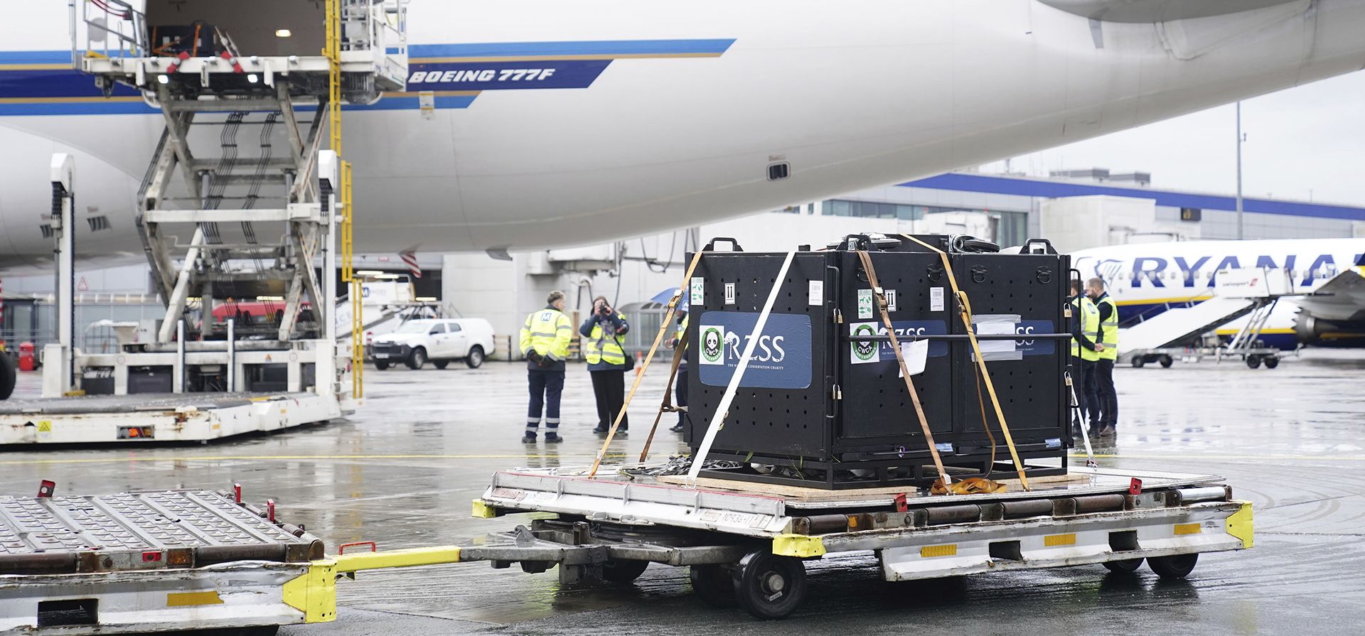 Los pandas gigantes Yang Guang y Tian Tian dentro de cajas de metal son cargados en un avión de carga de China Southern en el aeropuerto de Edimburgo para comenzar su viaje de regreso a China después de pasar 12 años en el zoológico de Edimburgo, el lunes 4 de diciembre de 2023. (Jane Barlow/PA vía AP ) Los pandas gigantes Yang Guang y Tian Tian dentro de cajas de metal son cargados en un avión de carga de China Southern en el aeropuerto de Edimburgo para comenzar su viaje de regreso a China después de pasar 12 años en el zoológico de Edimburgo, el lunes 4 de diciembre de 2023. (Jane Barlow/PA vía AP )