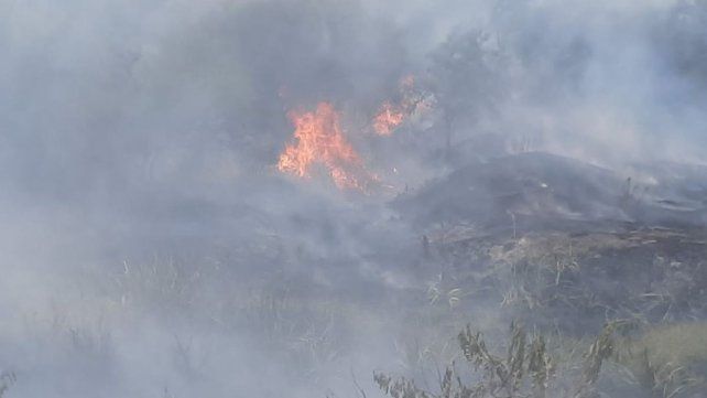 SNMF: Entre Ríos y Río Negro registran focos de incendios