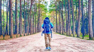 El placer de viajar asociado a beneficios del cerebro.&nbsp;
