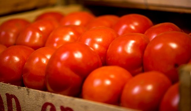 El veranito que se aproxima haría bajar el precio del tomate