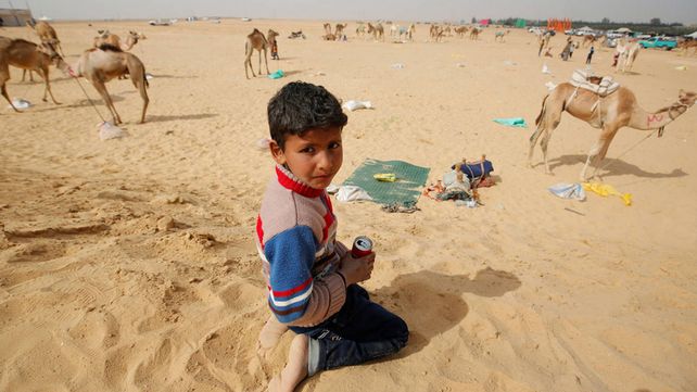 Carreras de camellos en el desierto de Egipto
