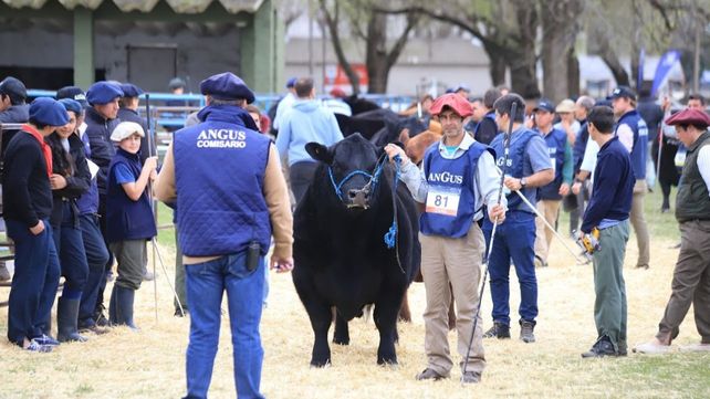 La Semana Angus con la fuerza de Expoagro ofrecerá una interesante variedad de actividades y un entorno inigualable para los negocios agropecuarios.