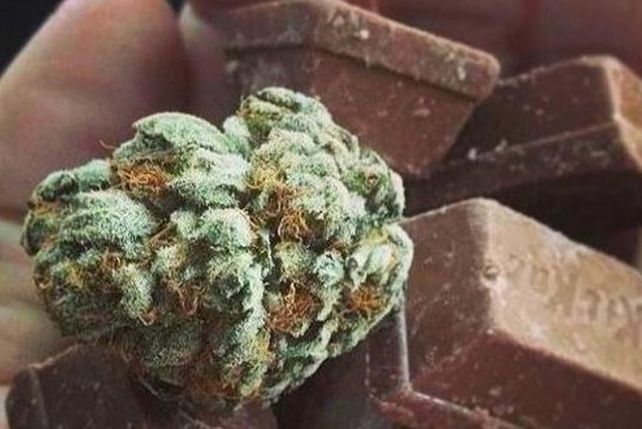 Vendía huevos de pascua con sorpresas de marihuana