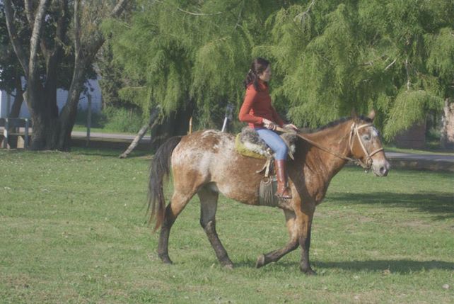 En acción. Pintado brinda bienestar a todos los chicos del centro San José