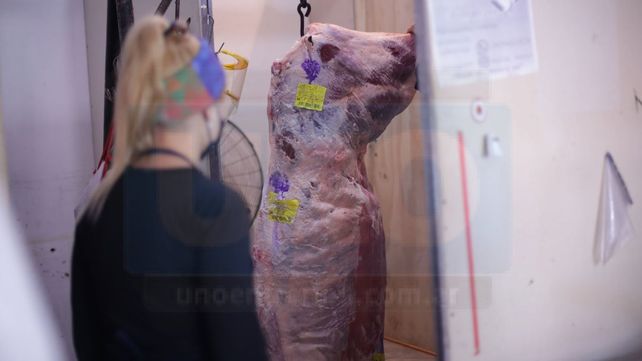 La desocupación en mujeres jóvenes se redujo pero creció la informalidad