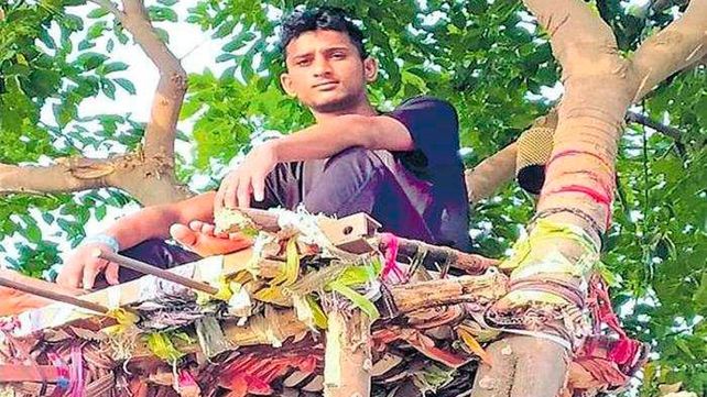 Un joven con Covid-19 vivió 11 días en un árbol para no contagiar a su familia