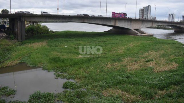 Preocupación en los clubes náuticos por el crecimiento del embalsado en el Richo Santa Fe. Foto: José Busiemi / UNO Santa Fe