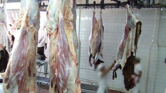La Federación de Industrias Frigoríficas Regionales Argentinas advirtió que si no se toman medidas para recuperar competitividad