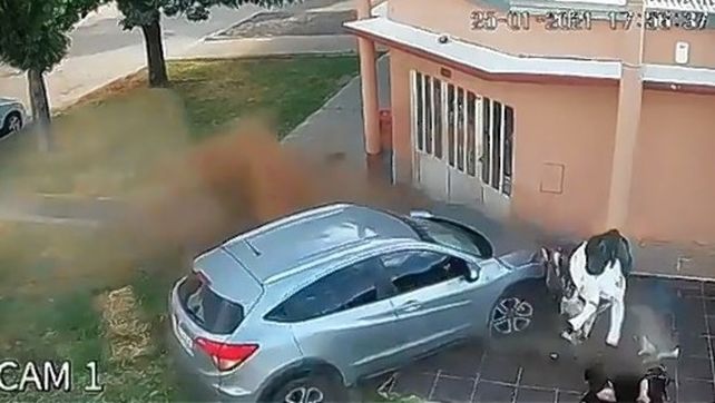 EL momento dle milagro enla puerta del comercio