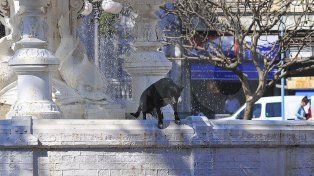 Entre Ríos: tiempo inestable y temperaturas máximas de 31 grados