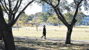 Parque Federal