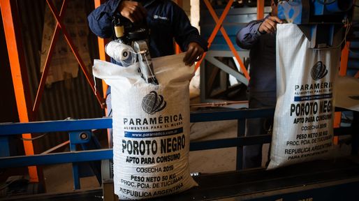 De Tucumán al mundo: la agroexportadora que conquistó el mercado de poroto negro y ahora apuesta a diversificarse