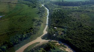 Más de 25 ONG alertan que los cambios en la ley de tierras forma parte de un plan de remate de la Argentina