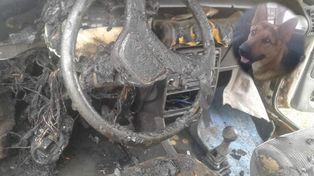 Un perro salvó la vida de una familia de un incendio