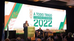 El trigo podría pegar el volantazo en la nueva campaña y el sector debate su futuro