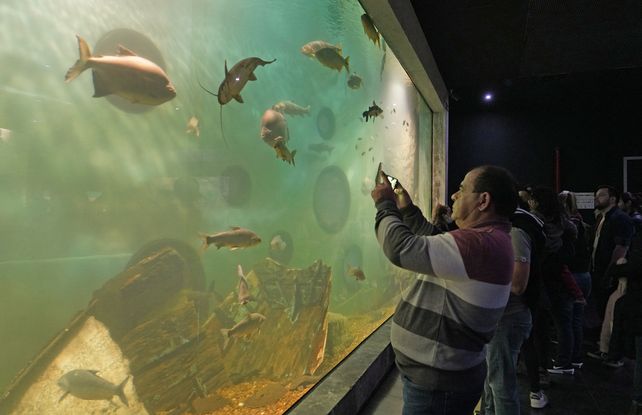 El Acuario fue elegido por los visitantes y también sirvió como lugar de promoción.