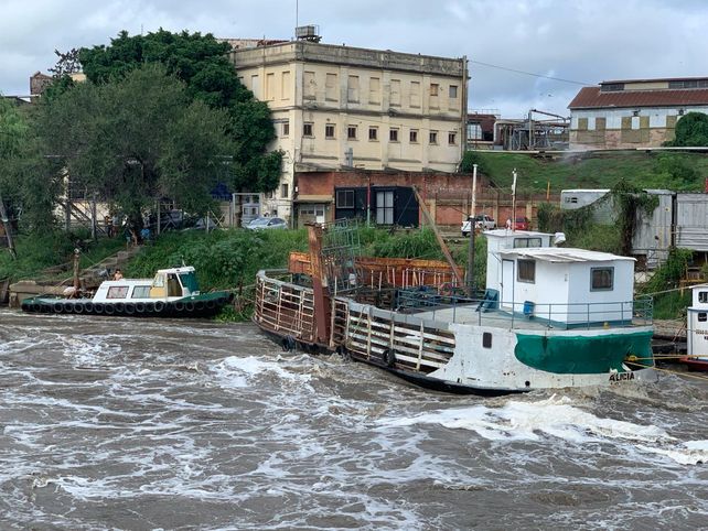 Las autoridades supervisan el arroyo Saladillo tras las intensas lluvias en la región.