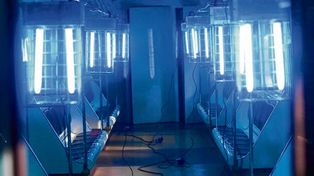 Desarrollan luces ultravioletas para matar el virus