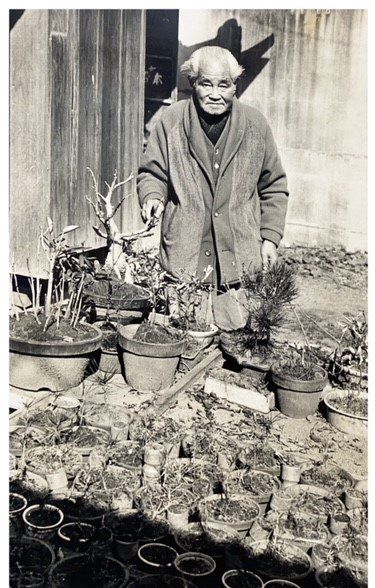 Miyamoto junto a sus bonsai. (Archivo familia Miyamoto).