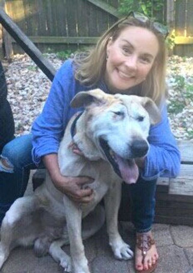 Perro labrador nació con deformidad facial, pero es totalmente adorable