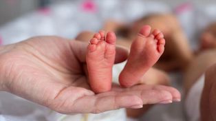 Actividades por la Semana Mundial del Prematuro