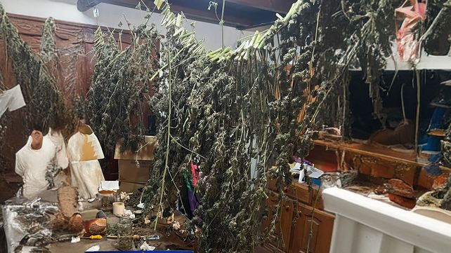 La policía decomisó 11 kilos de cogollos de marihuana en una casa de Funes.