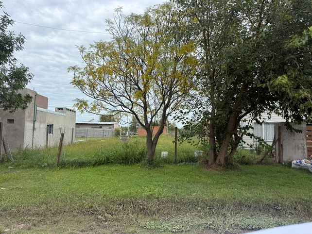 Roldán: se oficializó la subasta de un lote en barrio Los Cedros