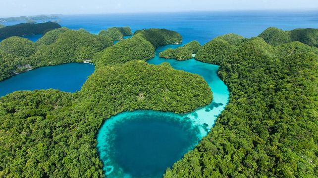 Un país isleño prohíbe las cremas solares porque son tóxicas para los corales