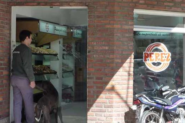 Saquearon y destrozaron la casa central de Panadería Pérez