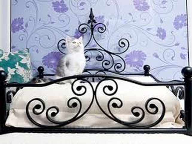 Como los aristogatos