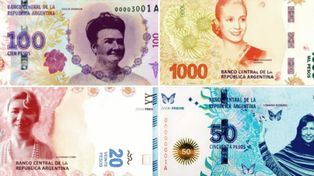 Billetes: harán anuncio oficial del cambio de animales por próceres y heroínas