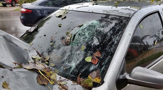 Se cruzó de carril y chocó violentamente contra un árbol