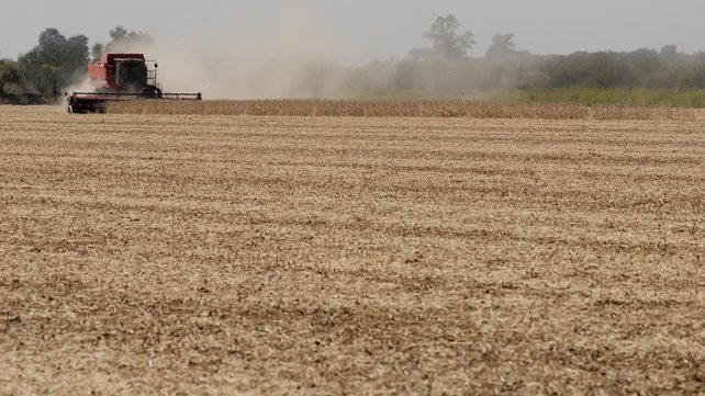 Se aceleraron los negocios agrícolas en abril pero se retrasa la cosecha