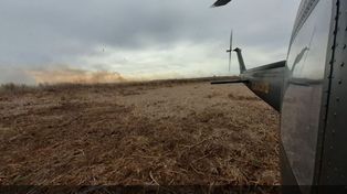 El gobierno de Santa Fe se presentará ante la Justicia por los incendios en el Delta del Paraná 
